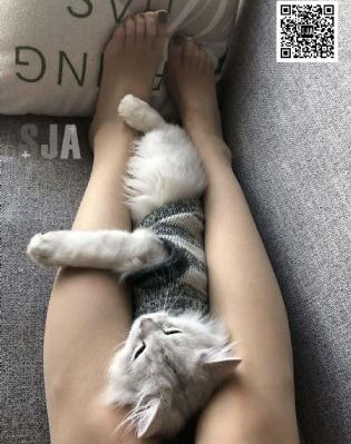 欧美日韩高清_蓝光免费观看